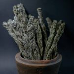 Lithuanian Sage Aromatherapy 20