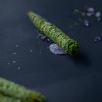 Thuja Bundle Aromatherapy 19