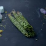 Thuja Bundle Aromatherapy 20