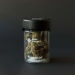 Kanapių žiedų arbata – Tropical Arbata 26